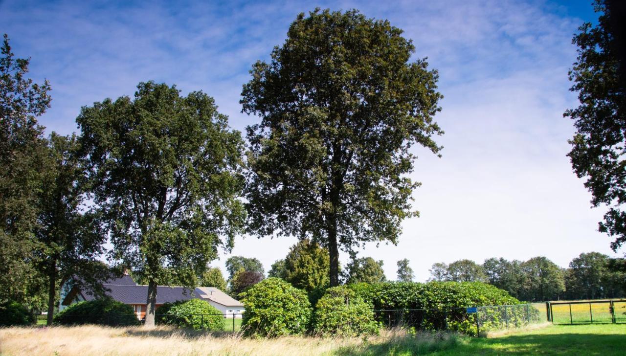 Bed And Breakfast Lindershoeve Bergeijk Exterior photo